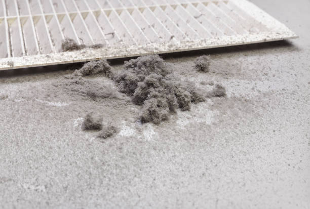 Best Emergency Air Duct Cleaning  in Clarence, IA
