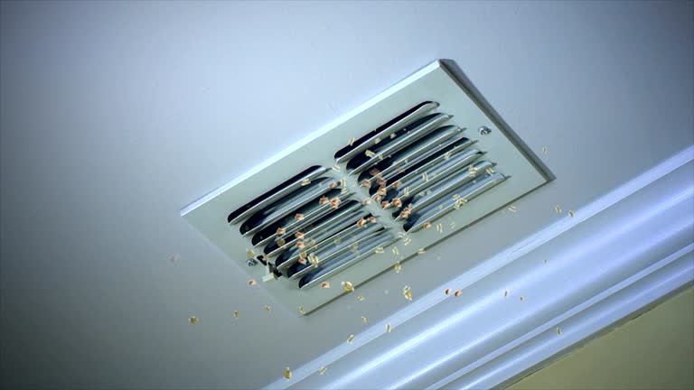 Best HVAC Maintenance and Cleaning  in Clarence, IA