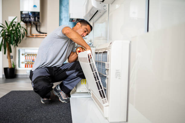 Best Air Duct Mold Removal  in Clarence, IA