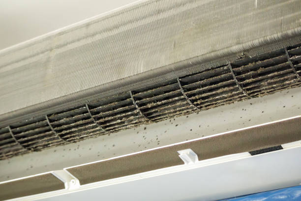 Air Duct Mold Removal in IA