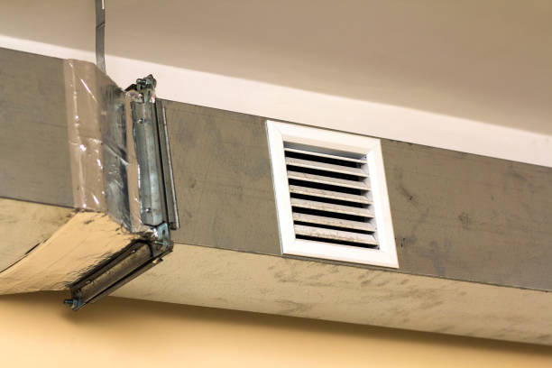 Best Local Air Duct Cleaning Services  in Clarence, IA